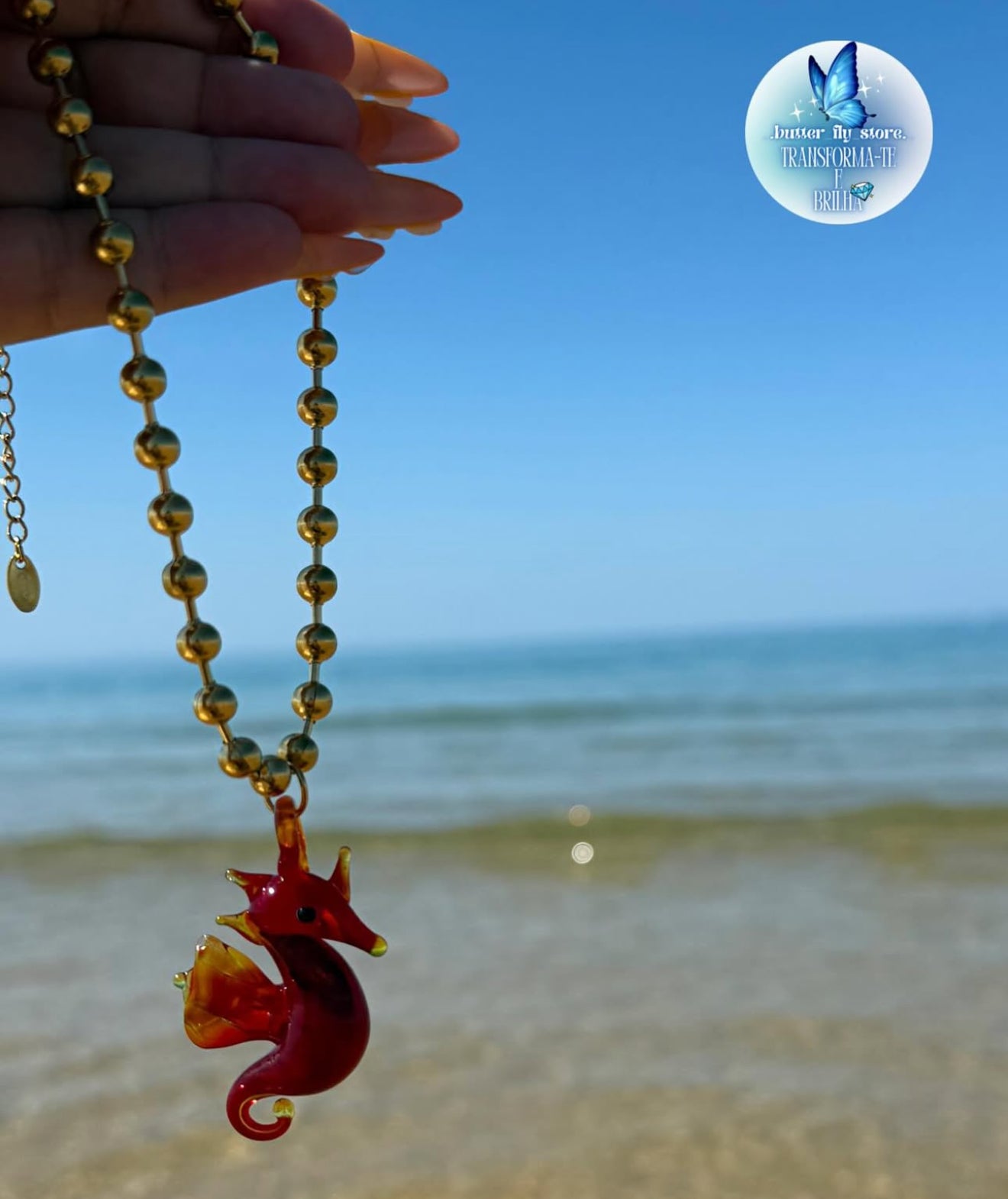 Cavalo-marinho vermelho❤️🐚